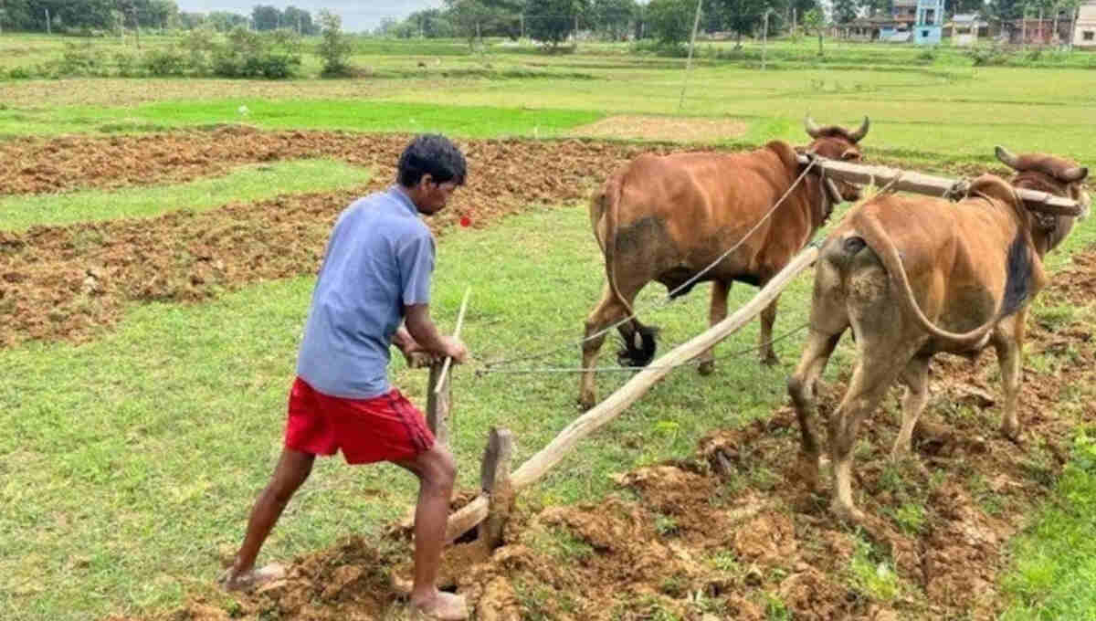 Joda Bail Yojana
